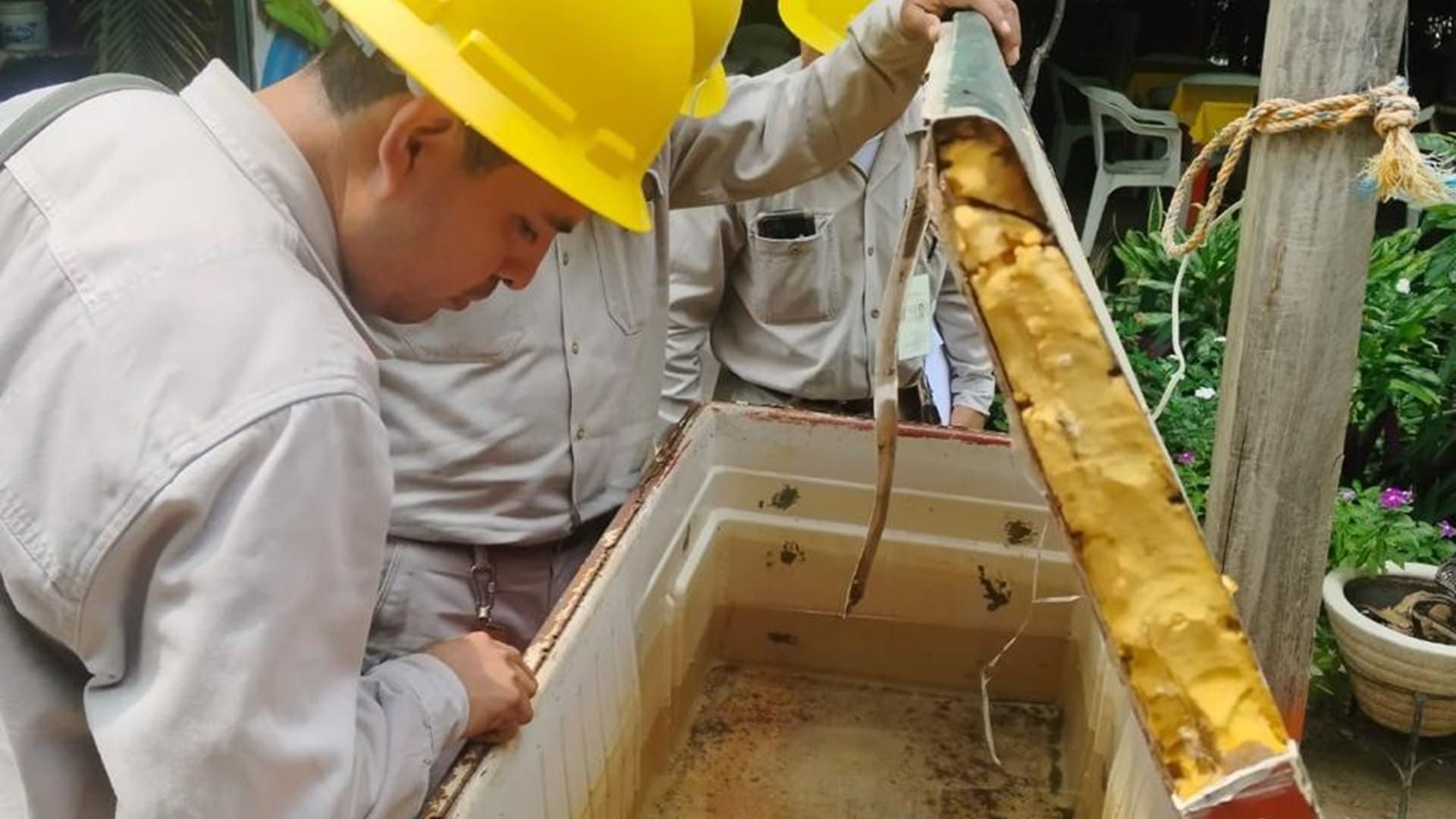 Detectan nuevos casos de dengue en cuatro municipios de Oaxaca