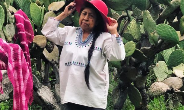Entre insectos y herencia ancestral, Catalina Yolanda López Márquez lleva a Oaxaca al Premio Nacional de Artes