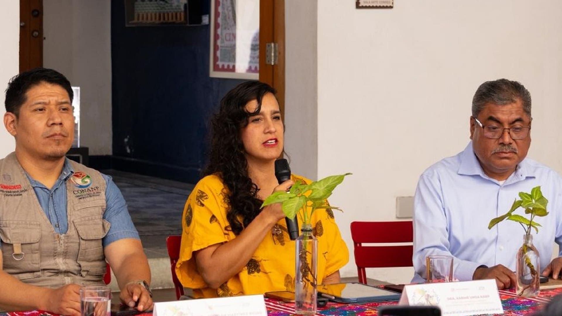 Medio Ambiente presenta actividades del Festival de las Aves de Oaxaca 2025