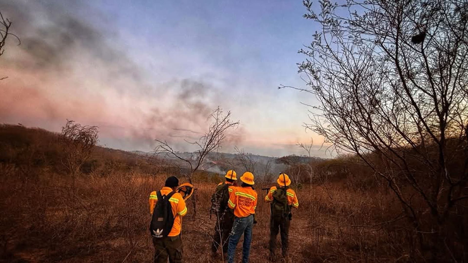 Coesfo liquida y controla incendio en Pinotepa Nacional