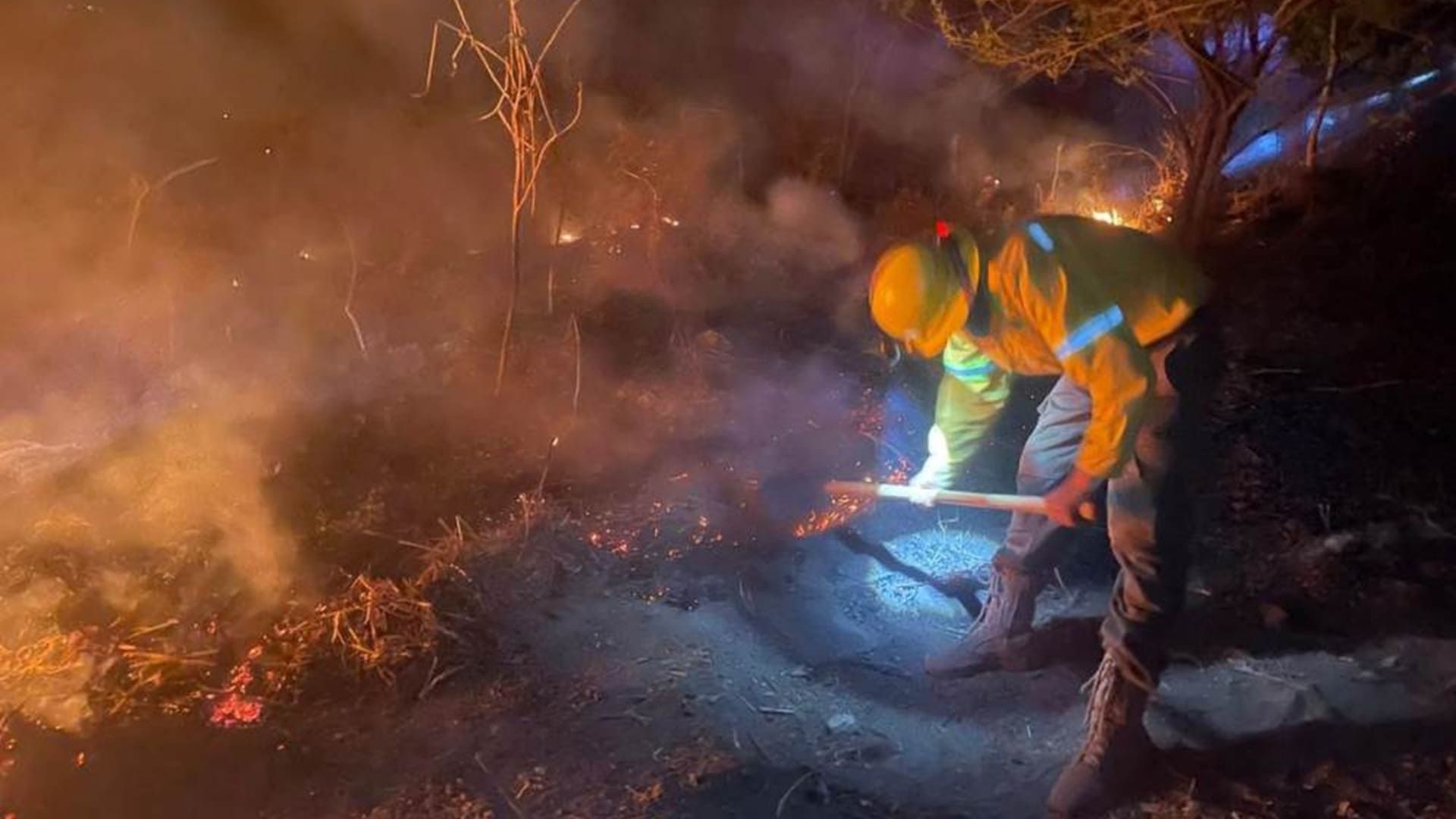 Coesfo reporta en fase de control dos incendios forestales en Santiago Pinotepa Nacional