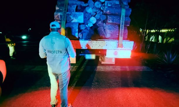 Profepa asegura miles de metros cúbicos de madera ilegal en operativos en Oaxaca