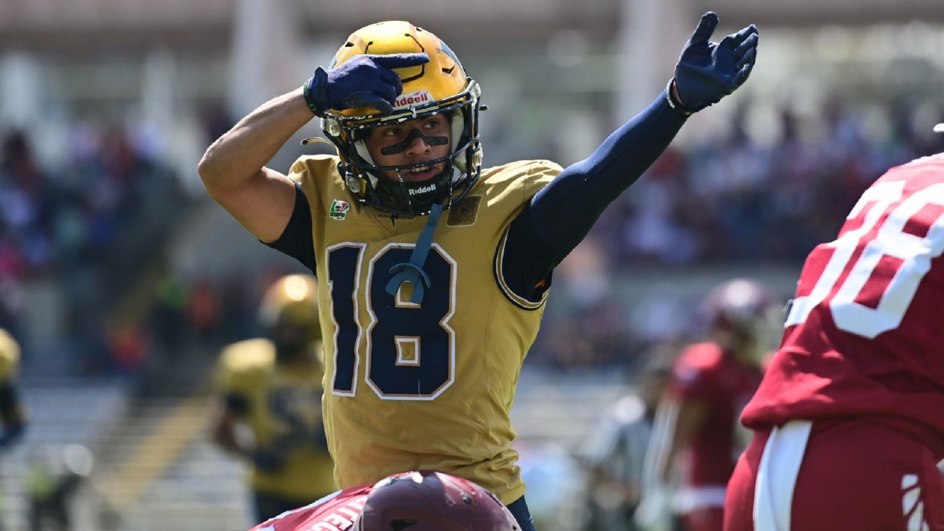 Pumas CU vence como visitante a las Águilas Blancas del IPN