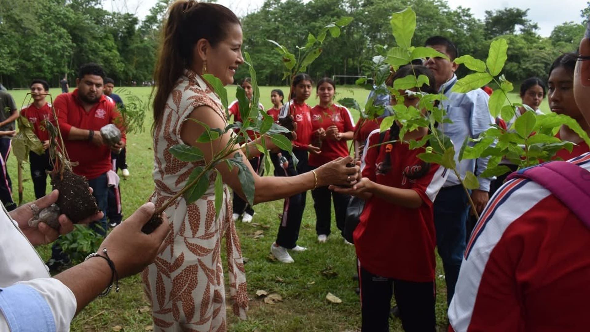 Plantan 3 mil árboles con Jornadas de Reforestación en Matías Romero Avendaño