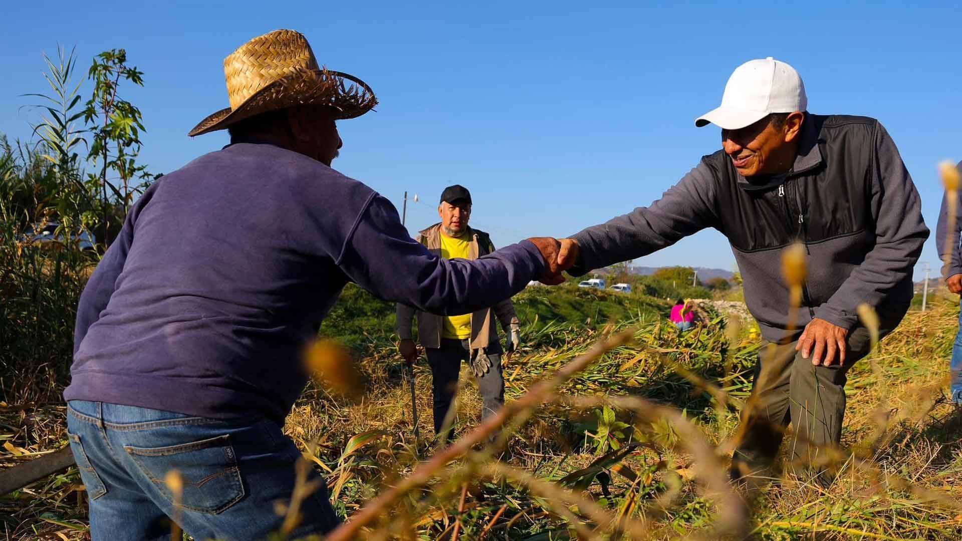 Oaxaca, el segundo estado con mayor crecimiento económico anual: INEGI