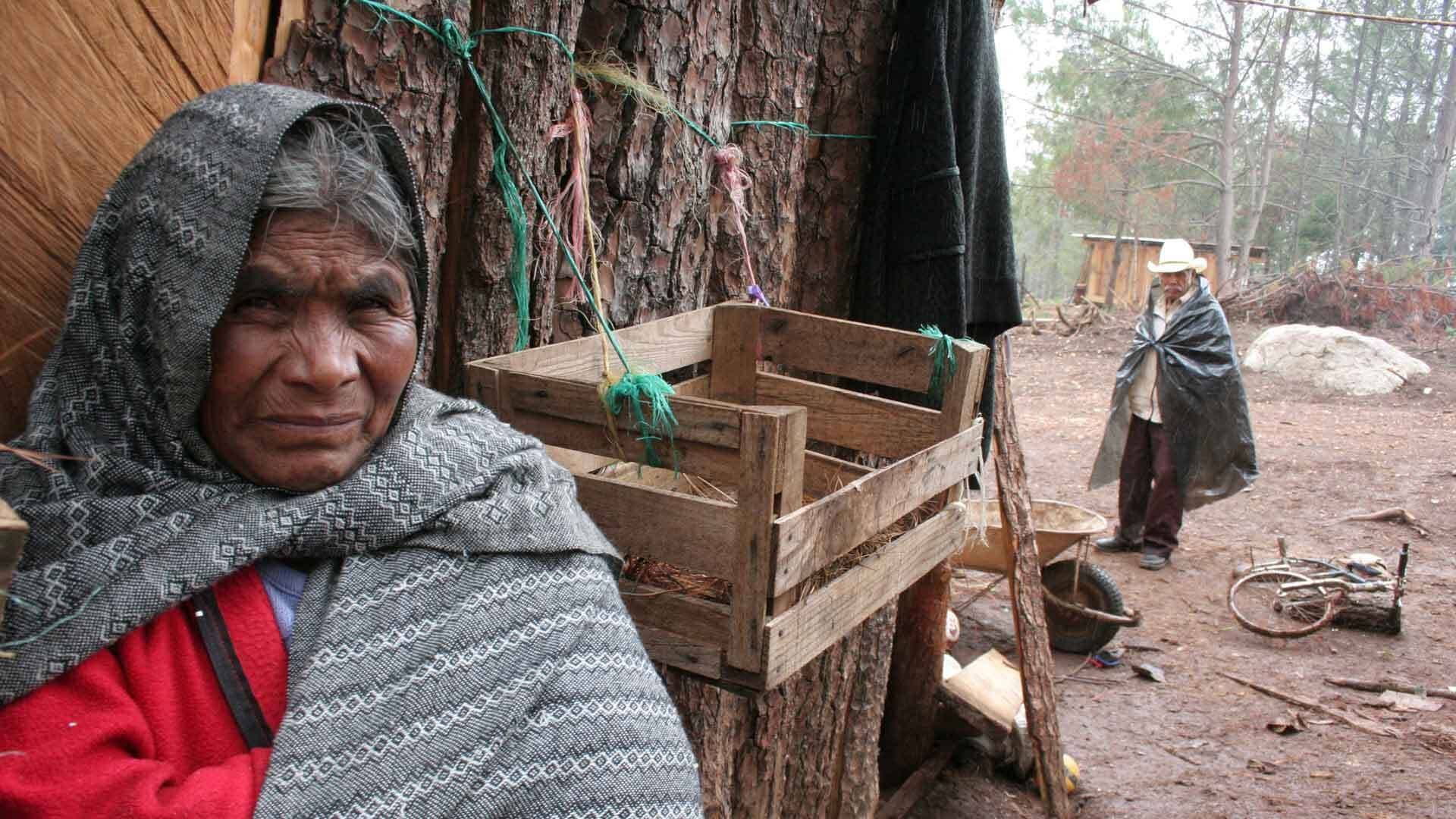 ¿Condenados a la pobreza? En México, 7 de cada 10 no logran movilidad social