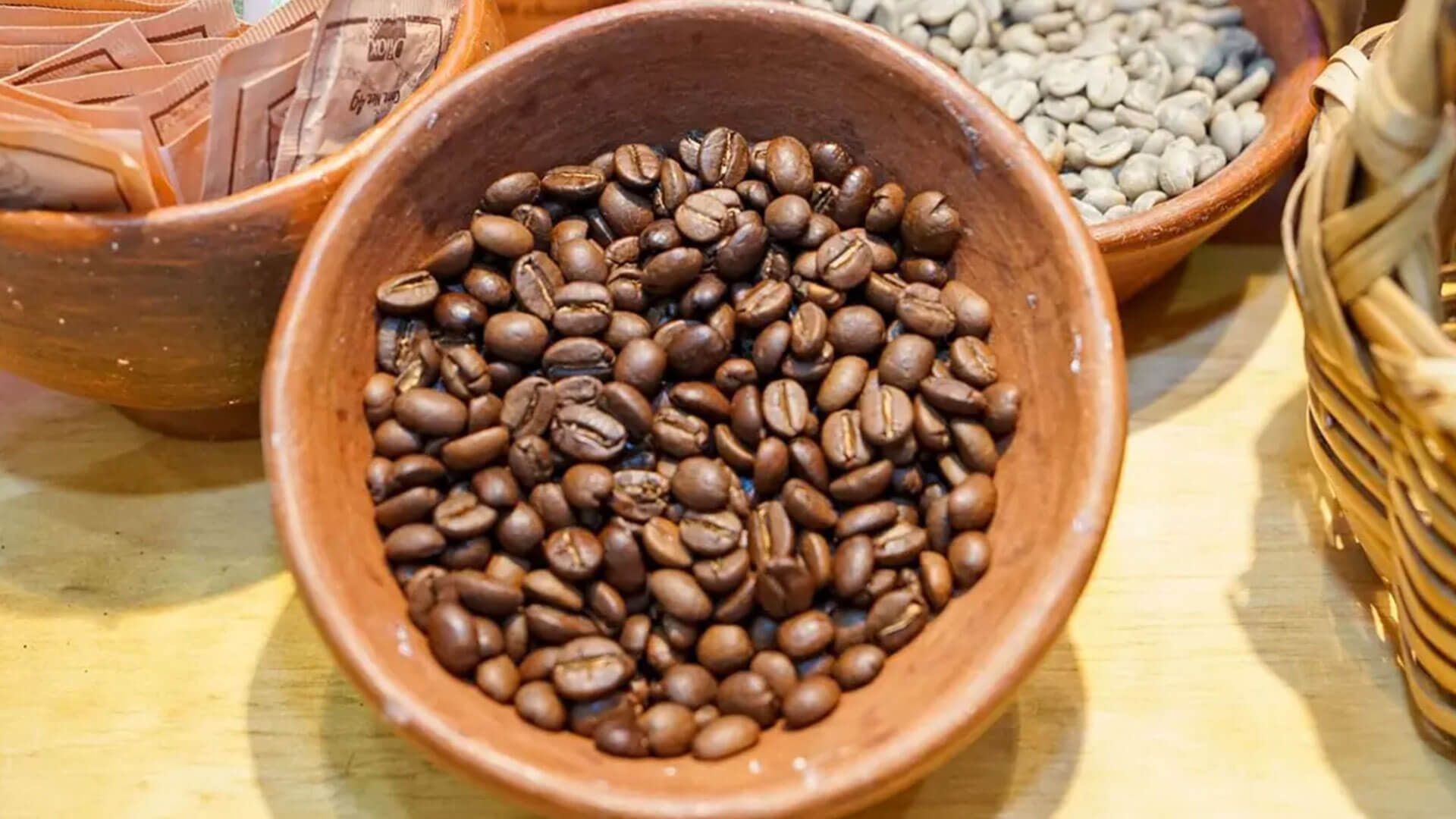 Anuncian la Convención del Café Oaxaqueño 2024