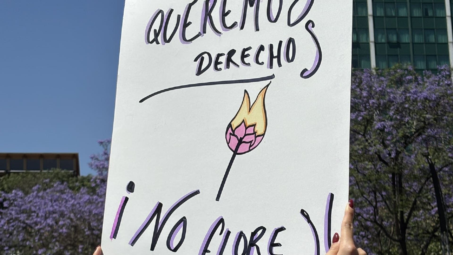 Oaxaca: 247 feminicidios denunciados desde 2022, indica GESMujer