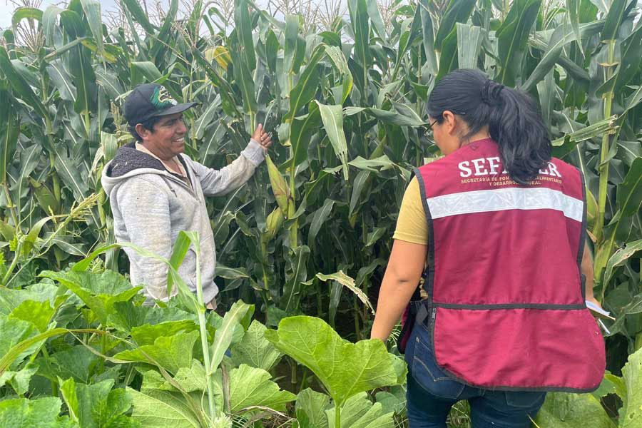 SEFADER: Productores afectados por huracán John tendrán apoyo