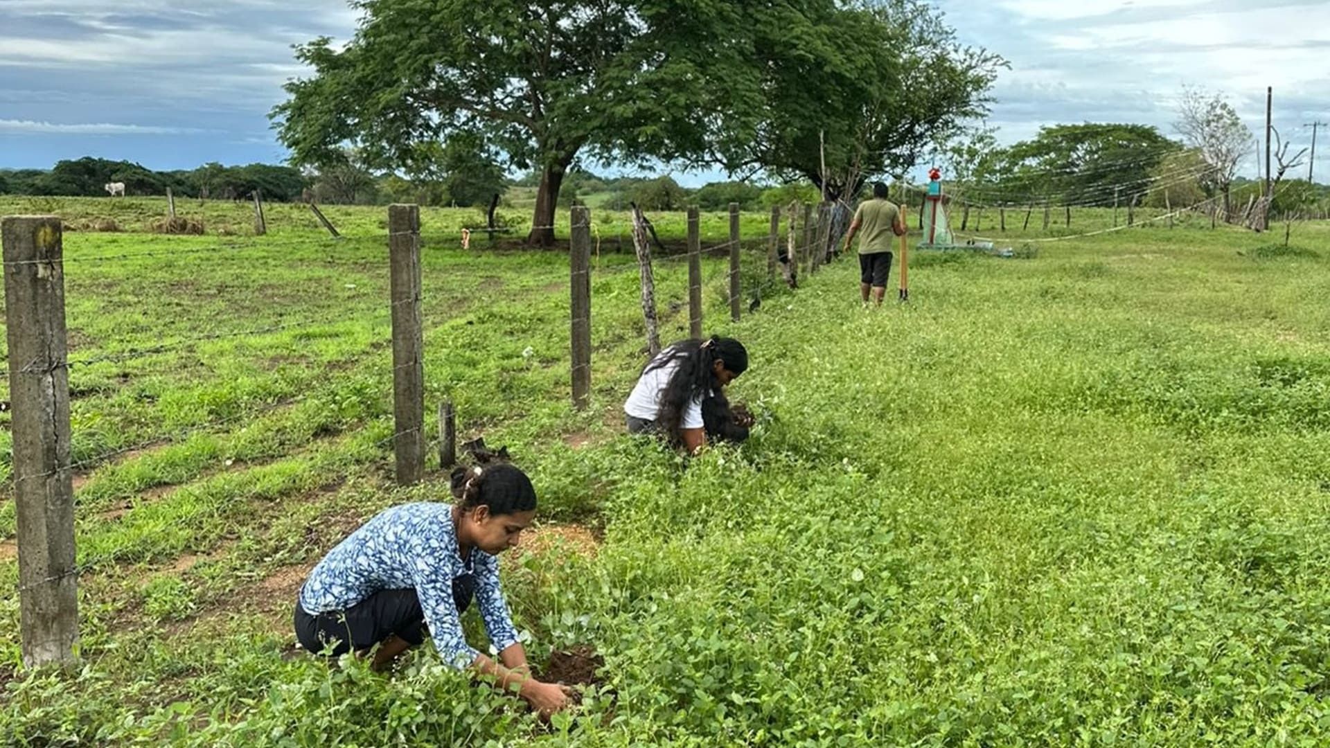 En marcha en Santiago Llano Grande programa Reforesta Oaxaca