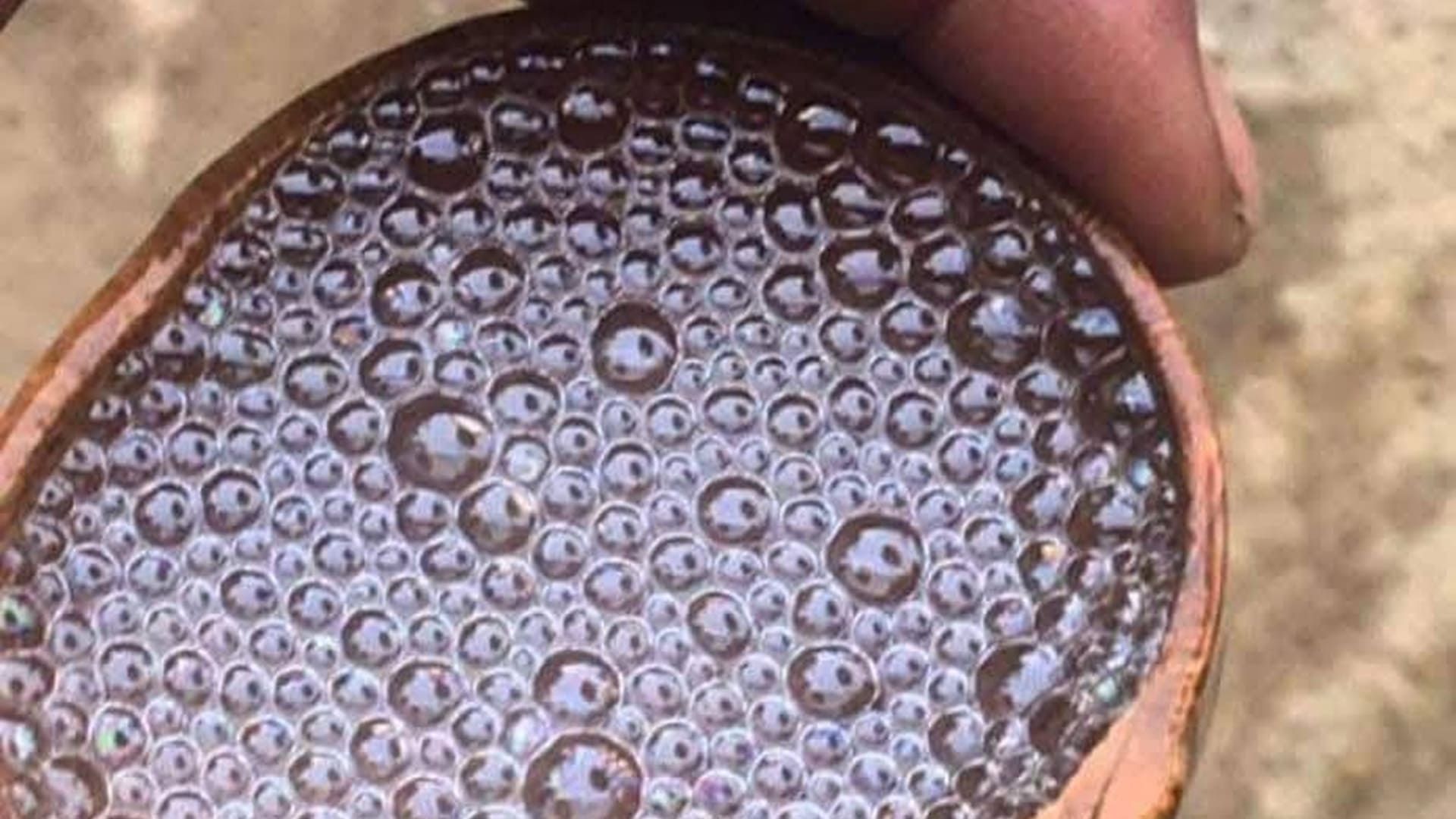 Oaxaca emprenderá batalla legal en defensa del mezcal