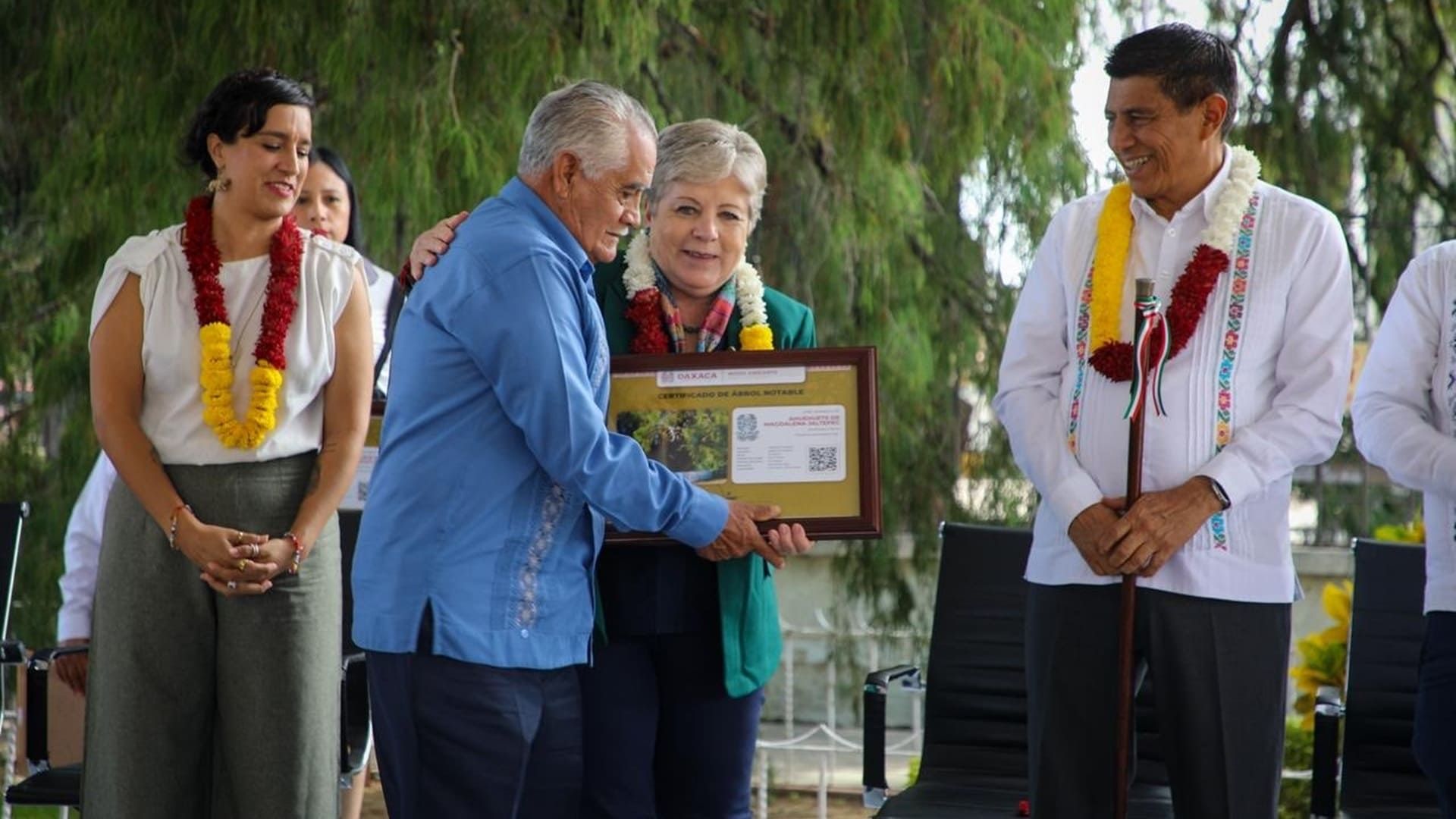 Siete municipios reciben certificación de Árboles Notables e Históricos