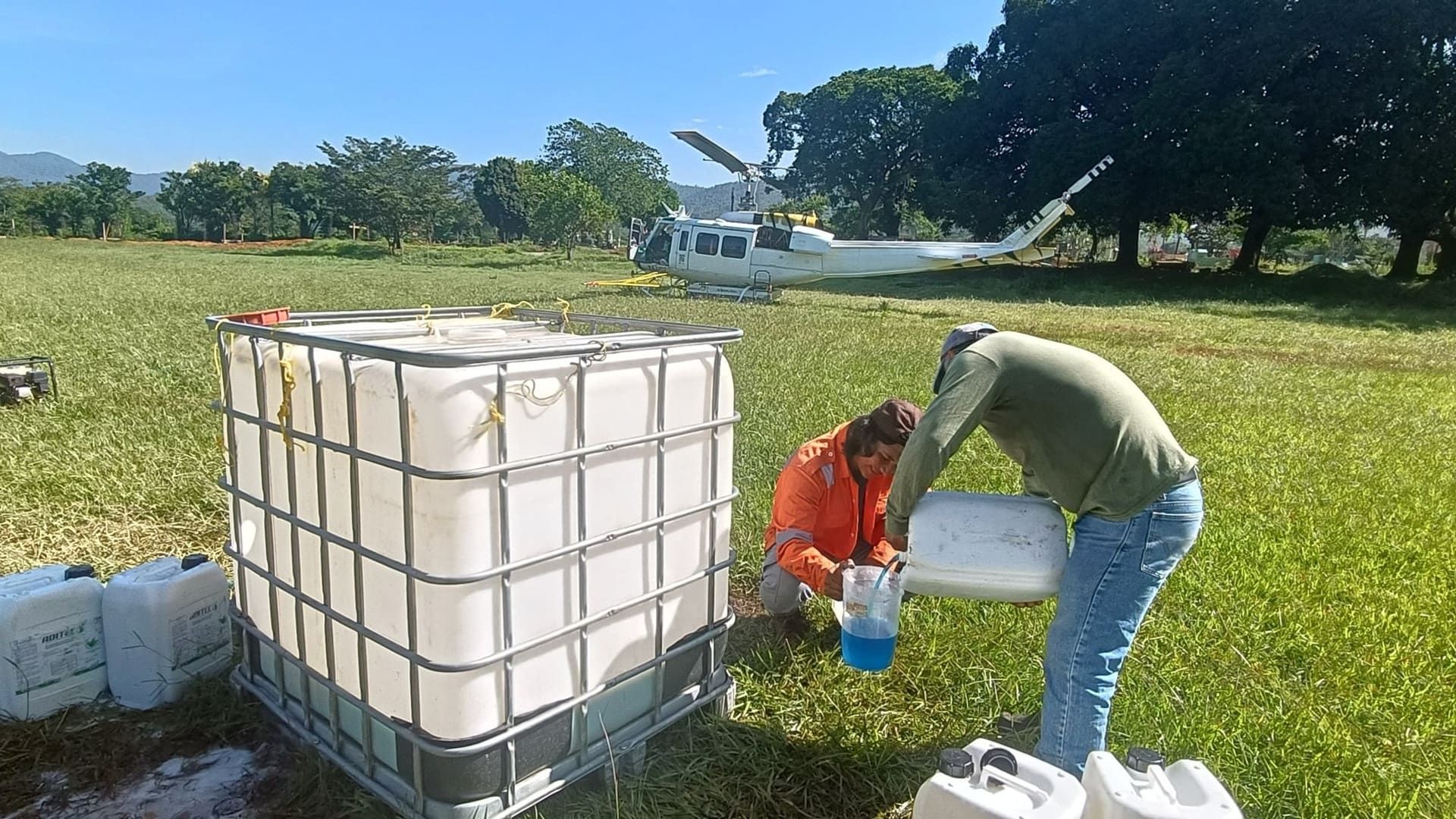Coesfo aplica hongo Beauveria bassiana para combatir plagas forestales en la Sierra Sur