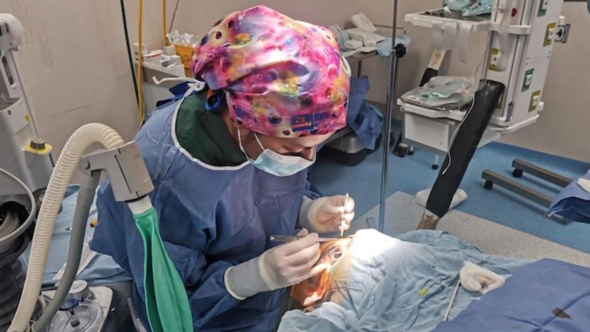 Día Mundial del Trasplante de Órganos y Tejidos: Servicios de Salud de Oaxaca reconoce a donantes