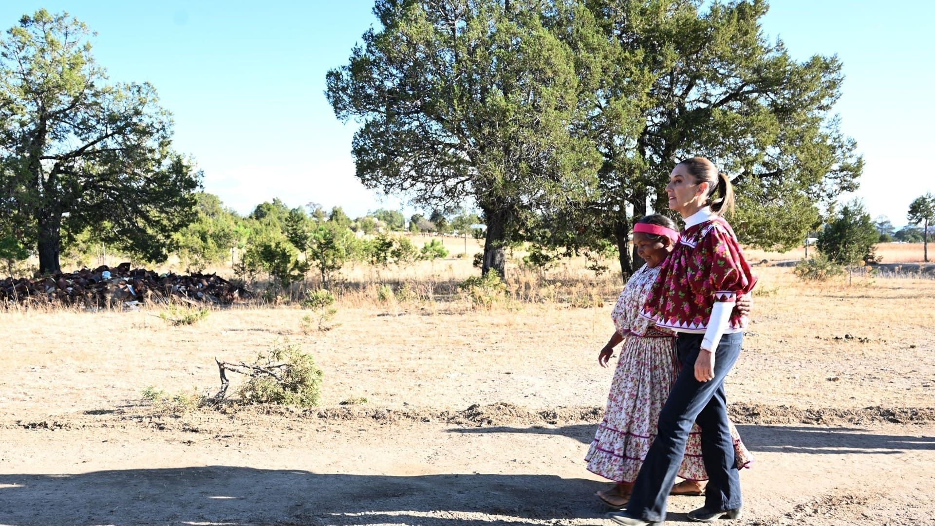 2025, Año de la Mujer Indígena; avanza en Senado proyecto para declaratoria