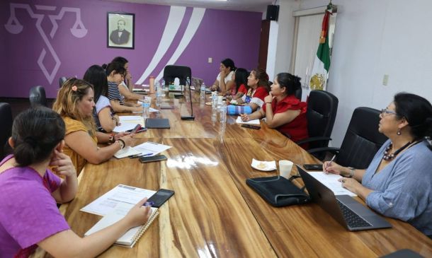 Poder Judicial del Estado de Oaxaca participa en mesa de trabajo sobre Alerta de Violencia de Género