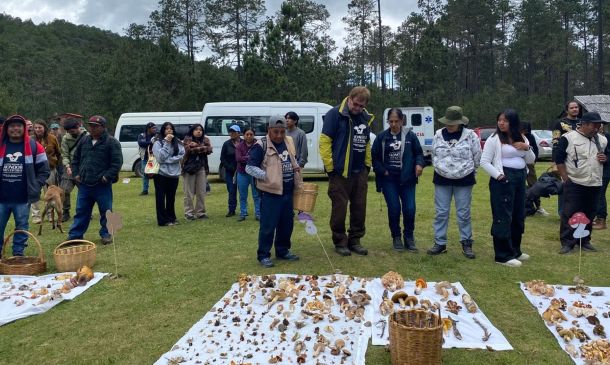 San Antonio Cuajimoloyas celebra su Feria Regional de los Hongos Silvestres