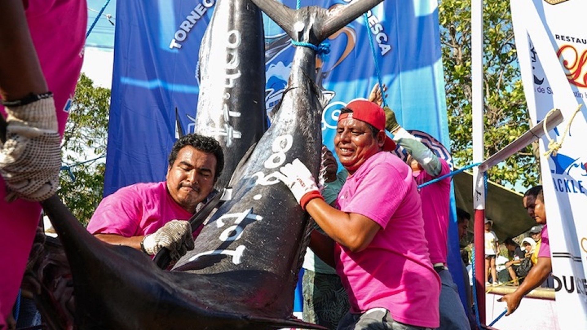 Torneo Internacional de Marlín Huatulco 2025: Derrama económica de 78 MDP en la costa oaxaqueña